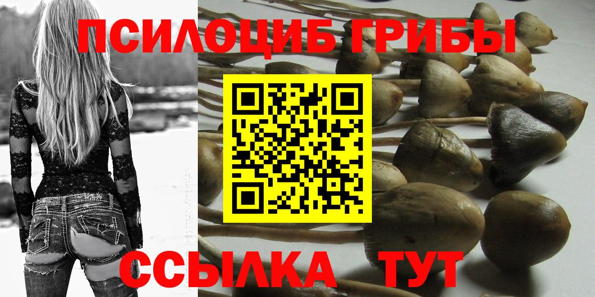 Галлюциногенные грибы мицелий Ирбит